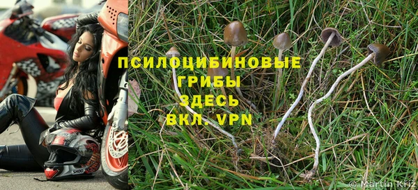 ALPHA-PVP Баксан